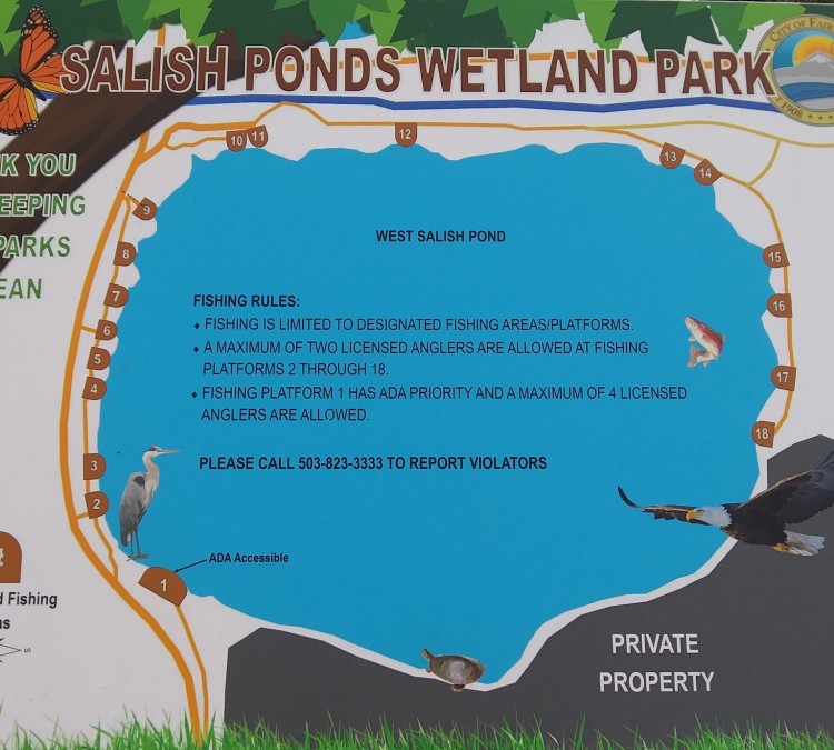 salish-ponds-wetland-park-photo